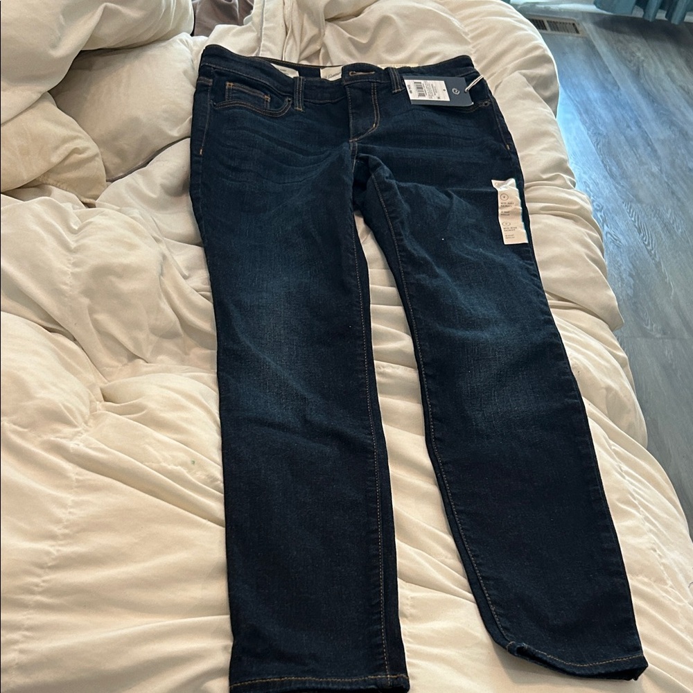 Universal Thread Women's Deep Indigo Skinny Jeans
